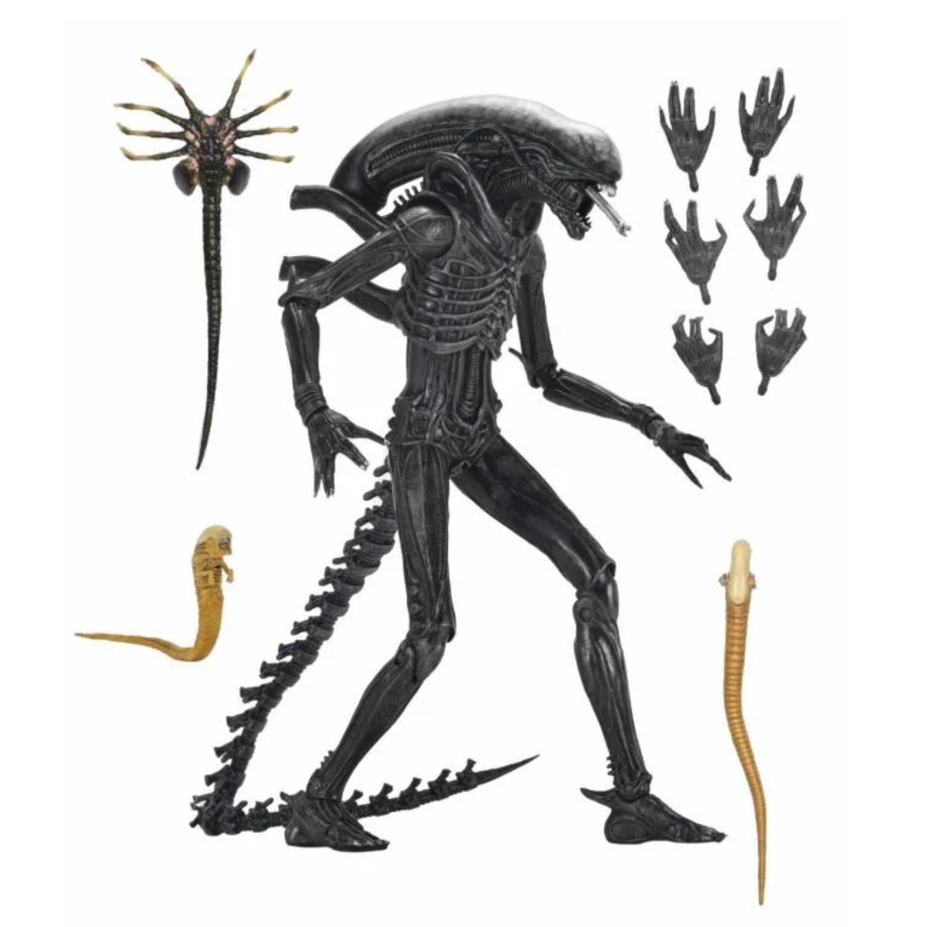 Alien: Romulus Ultimate Xenomorph XX121 Action Figure