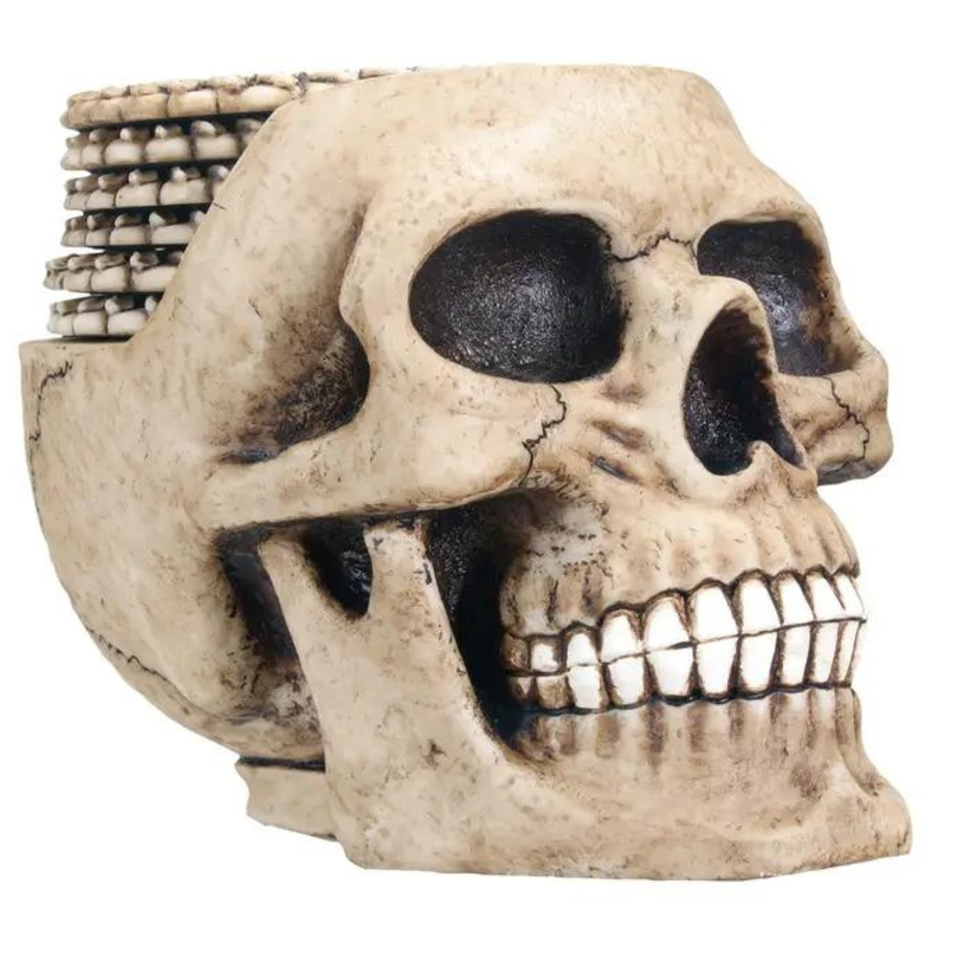 Skull Head with Coasters