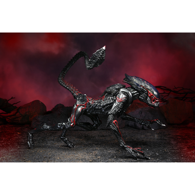 ALIENS - 7IN SCALE ACTION FIGURE - KENNER TRIBUTE ULTIMATE NIGHT COUGAR ALIEN