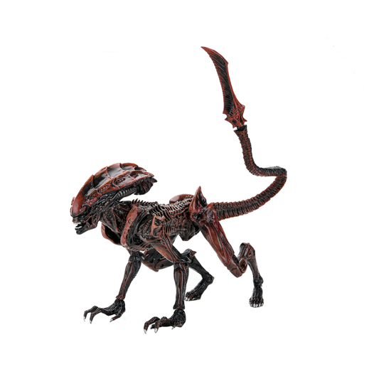 ALIENS: FIRETEAM ELITE – 7IN SCALE ACTION FIGURES – SERIES 1