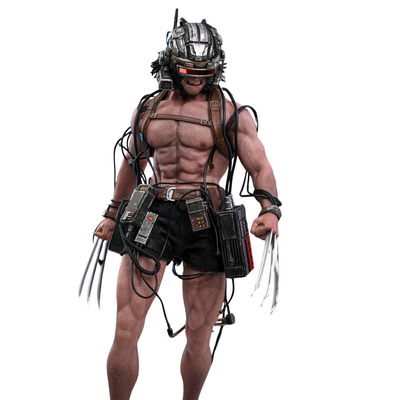 PRE-ORDER Weapon X Sixth Scale Figure