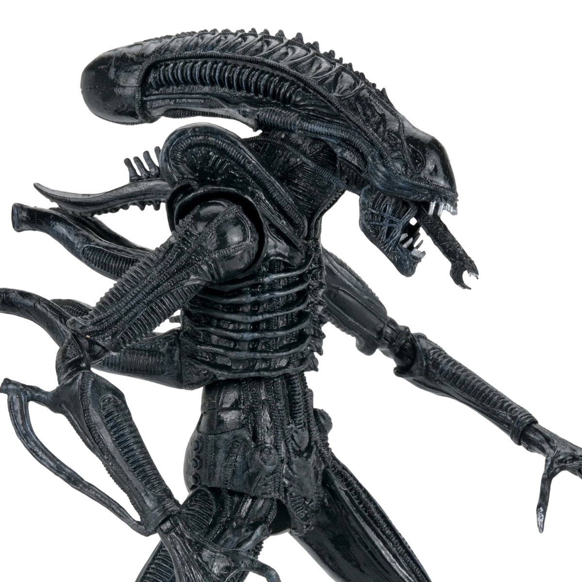 Aliens - 40th Anniversary Ultimate Xenomorph Warrior 7