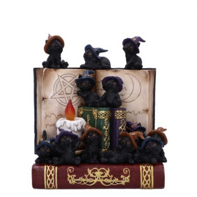 Coven Keepers Black Cat in Hat