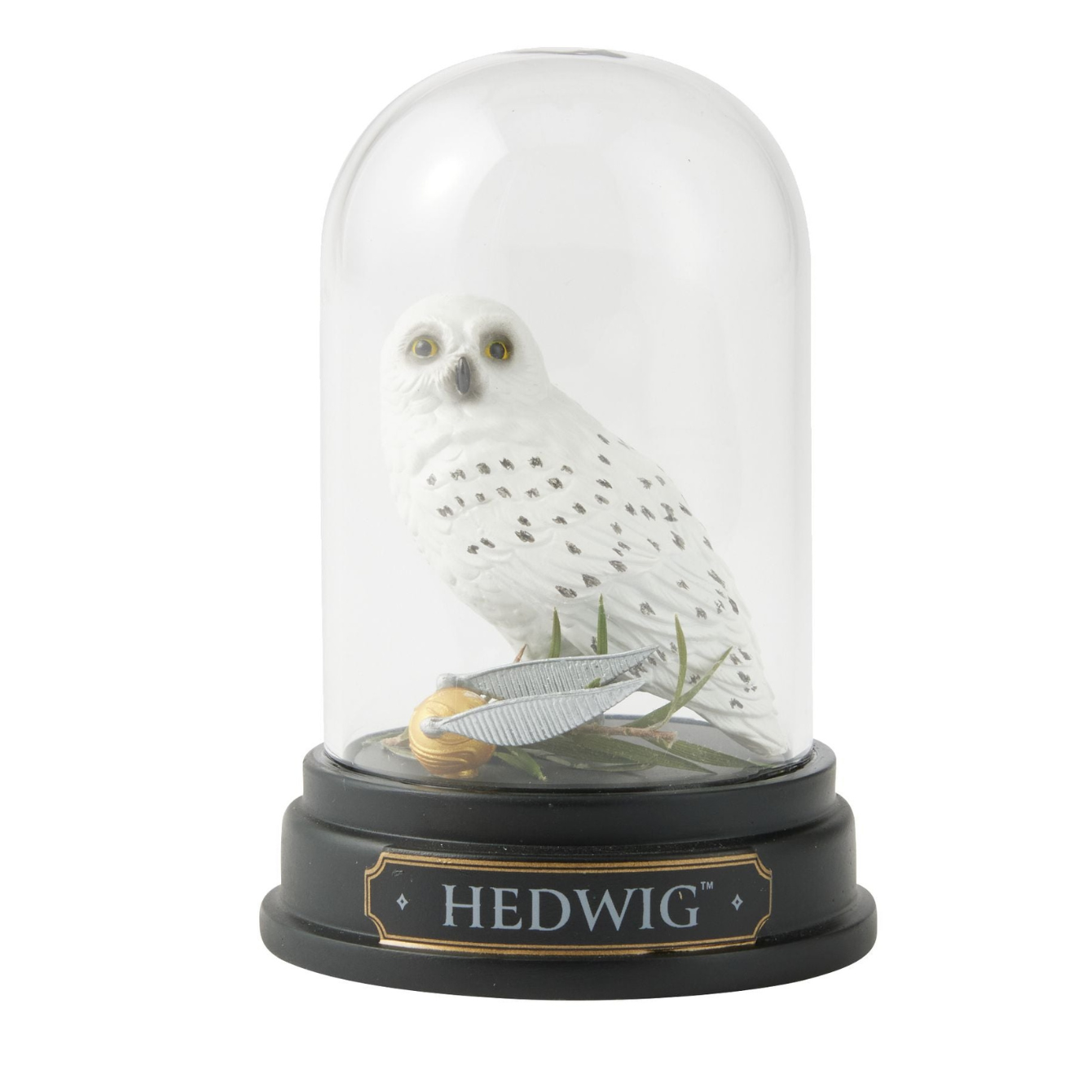 Hedwig Curiosity Cloche