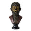 Horror Monster Wolfman Bust