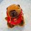 Capybara Plush Keychain