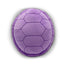 Dragon Ball - Master Roshi's Turtle Shell