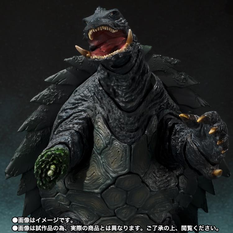 モンクロベニカミキリ　3ペア カミキリムシ（日本産カミキリ970種写真公開）