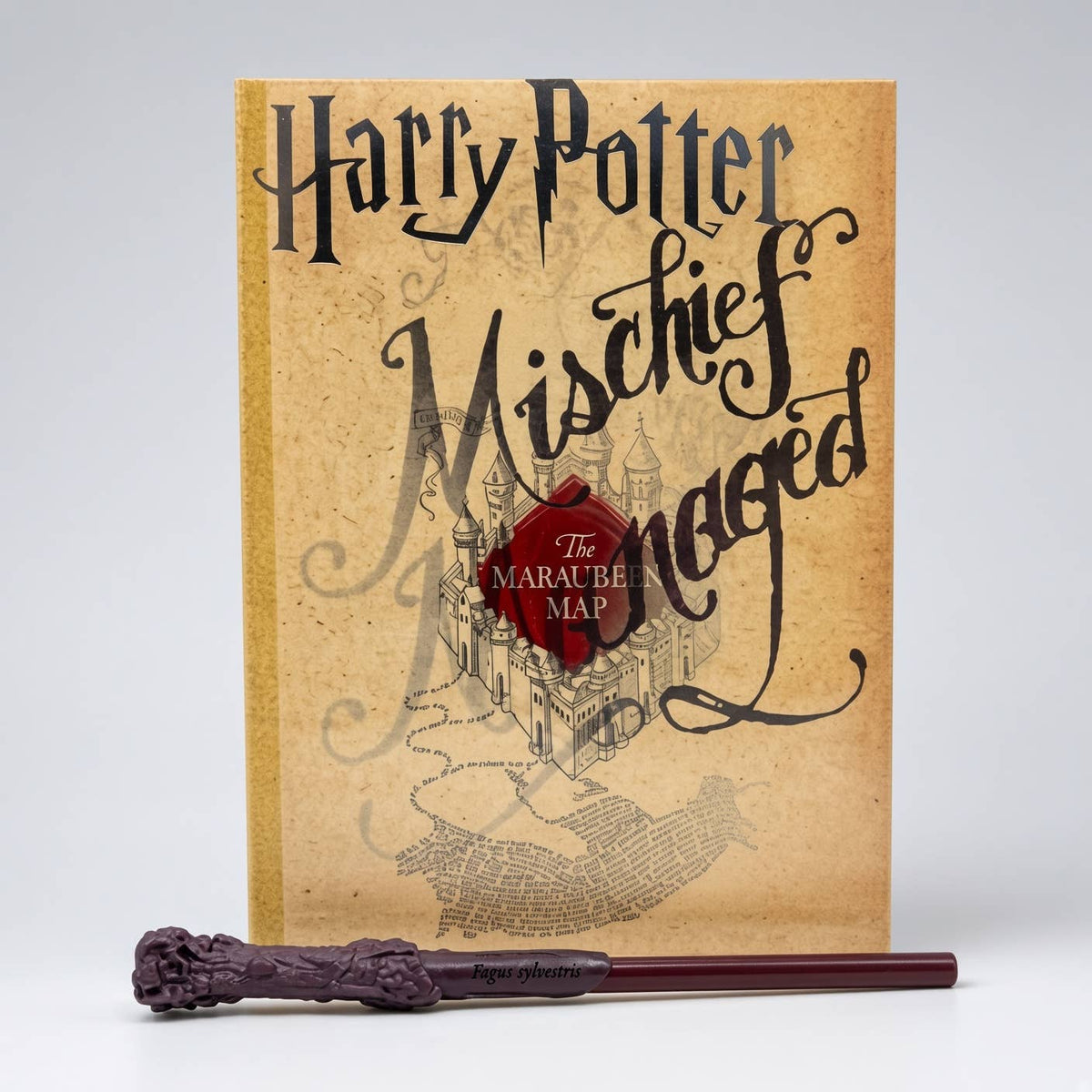 HARRY POTTER JOURNAL W/WAND