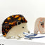 Cute Hedgehog Hair Clip, Acetate Animal Clips