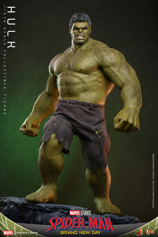 PRE-ORDER Hot Toys Spider-Man: Brand New Day Hulk Sixth Scale Figure