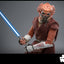 PRE-ORDER Plo Koon™ Sixth Scale Figure Hot Toys