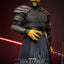 PRE-ORDER Savage Opress Sixth Scale Action Figure Hot Toys