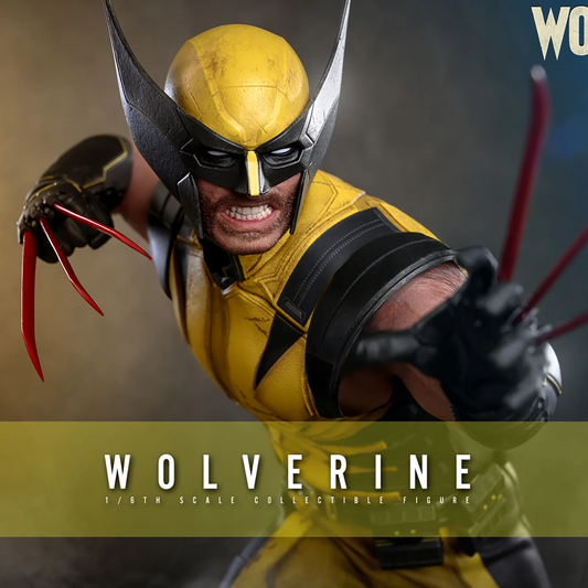 PRE-ORDER Wolverine Sixth Scale Figure