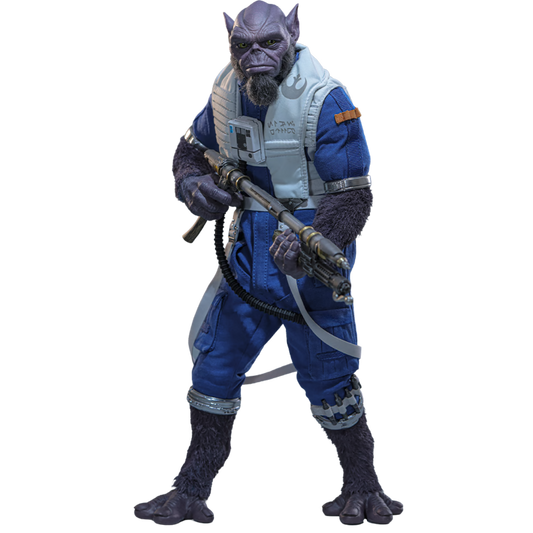 PRE-ORDER Zeb Orrelios Sixth Scale Figure