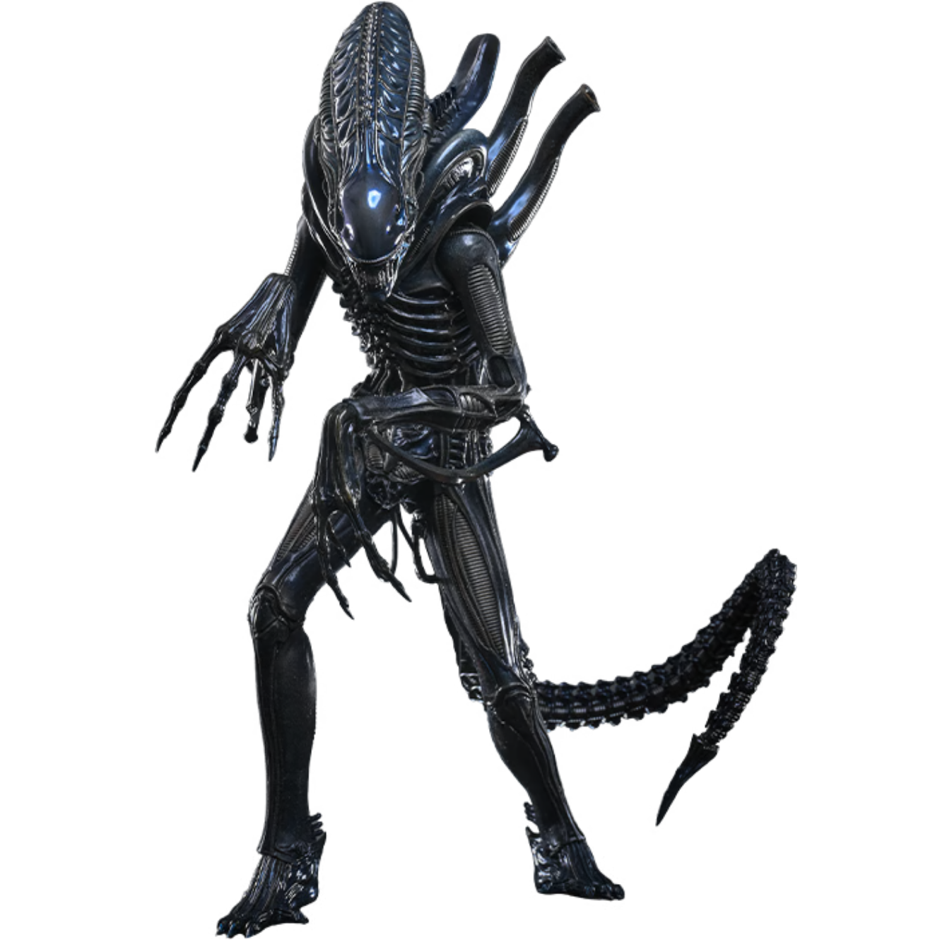 PRE-ORDER Alien Warrior (Deluxe Version) Sixth Scale Figure Hot Toys