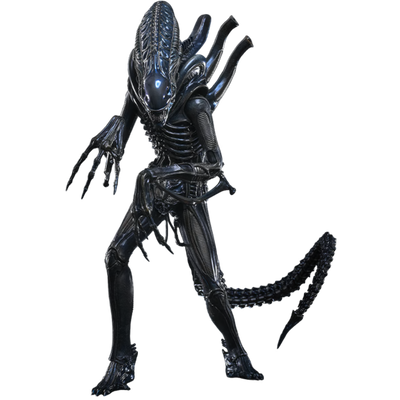 PRE-ORDER Alien Warrior (Deluxe Version) Sixth Scale Figure Hot Toys