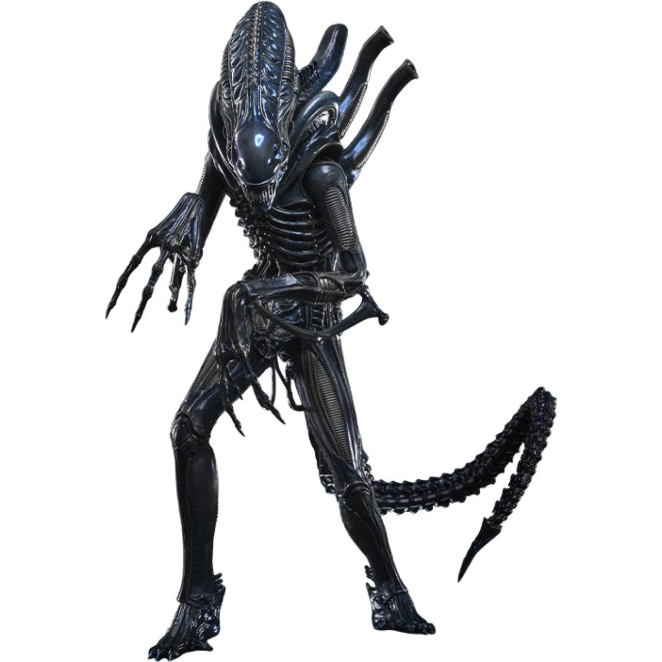 PRE-ORDER Alien Warrior Sixth Scale Figure Hot Toys