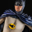 PRE-ORDER Batman and Robin Diorama