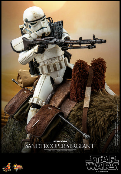 PRE-ORDER Sandtrooper Sergeant™ and Dewback™ Sixth Scale Figure Set