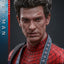 PRE-ORDER The Amazing Spider-Man (Deluxe Version) Sixth Scale Figure Hot Toys