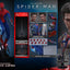 PRE-ORDER The Amazing Spider-Man (Deluxe Version) Sixth Scale Figure Hot Toys