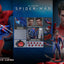 PRE-ORDER The Amazing Spider-Man Sixth Scale Figure