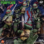 PRE-ORDER Teenage Mutant Ninja Turtles Boxed Set