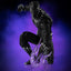 PRE-ORDER Avengers: The Infinity Saga DLX Black Panther 1/12 Scale Figure