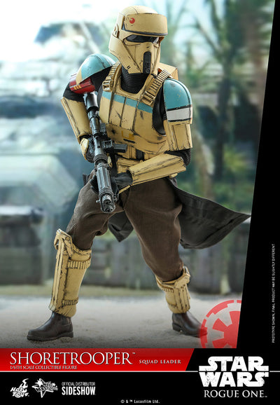 Hot Toys Star Wars Shoretrooper: Squad Leader™