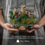 Jurassic Park Just The Two Raptors 1/10 Deluxe Art Scale Limited Edition Statue