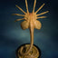 Aliens Facehugger Lifesize Bust