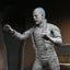 Universal Monsters Ultimate Mummy (Color) Figure