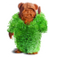 Star Wars Ewok Chia Pet