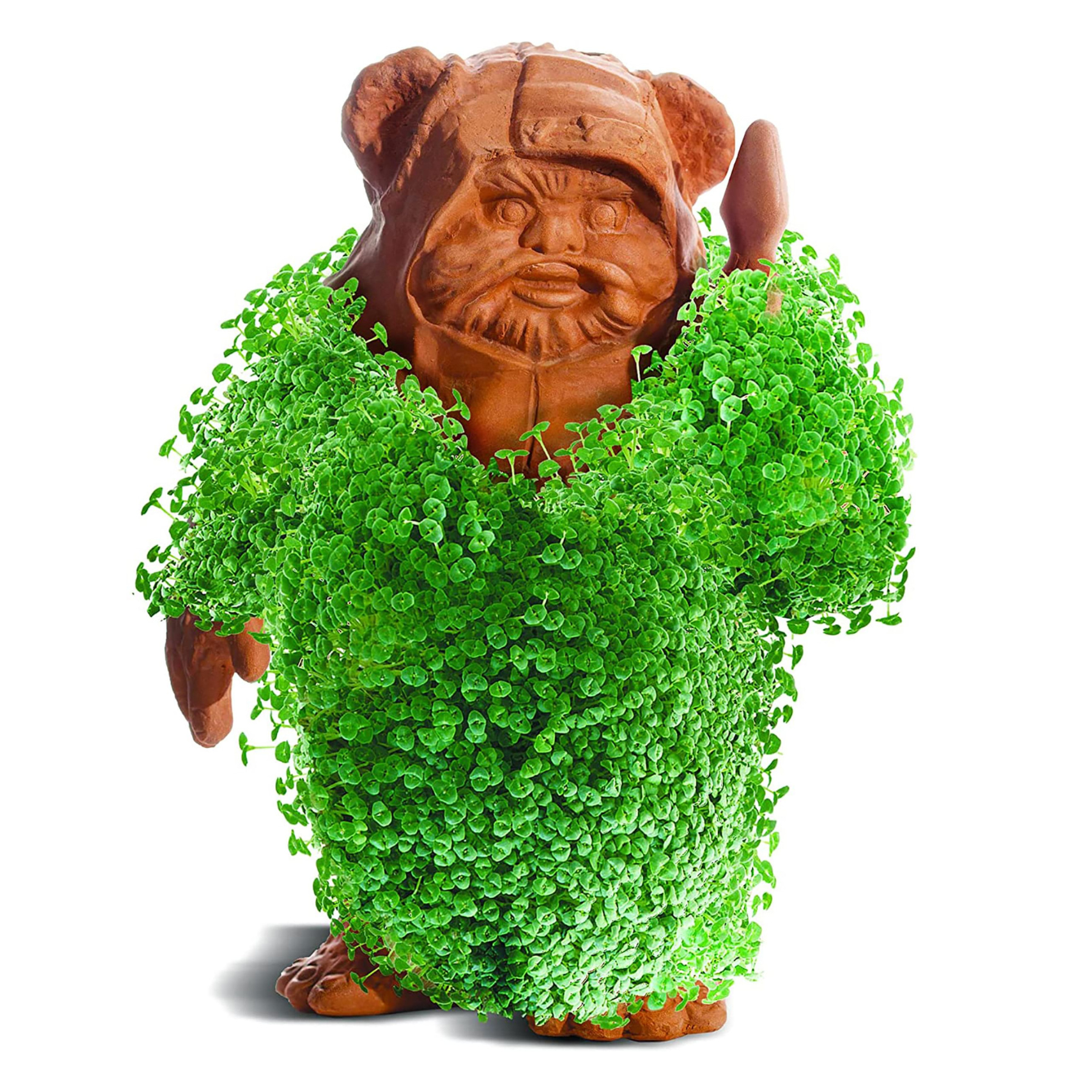 Star Wars Ewok Chia Pet