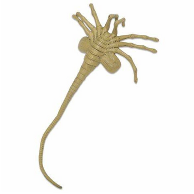 Aliens – Foam Prop Replica – Life-Size Facehugger
