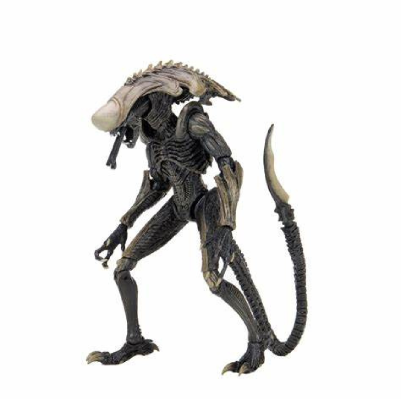 Alien vs. Predator Chrysalis (Movie Deco) Figure