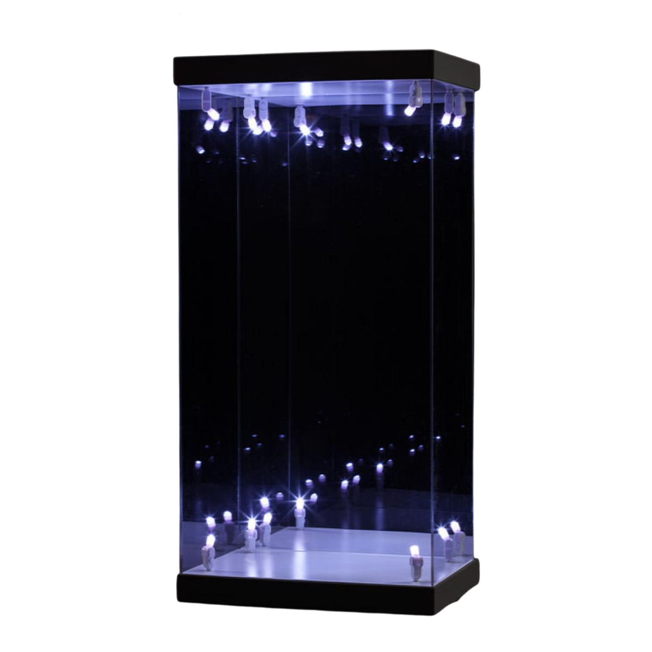 LIGHTED DISPLAY CASE