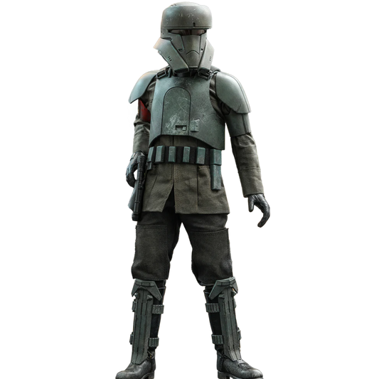Transport Trooper Sixth Scale Figure