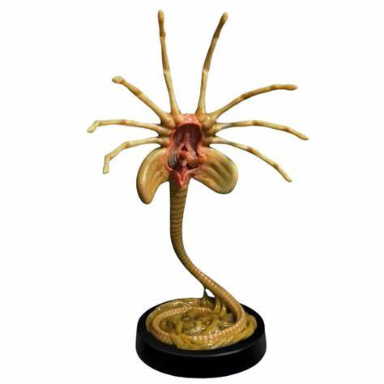 Aliens Facehugger Lifesize Bust