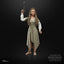 Star Wars: The Black Series 6" Princess Leia (Ewok Village)