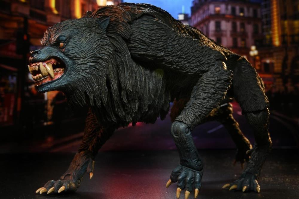 American Werewolf Ultimate